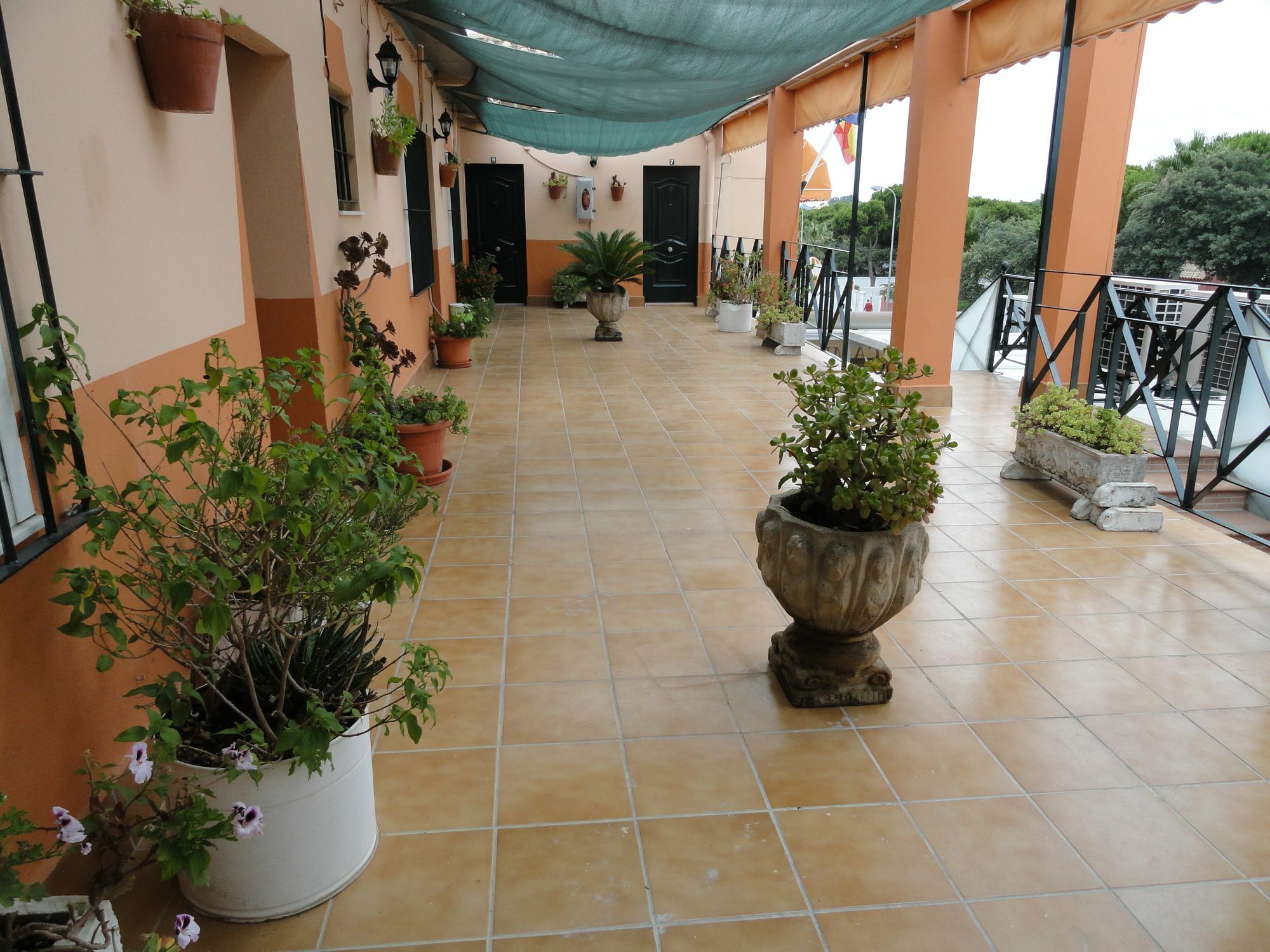 Hostal La Campa Чиклана-де-ла-Фронтера Экстерьер фото